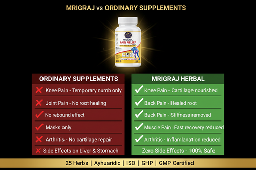 Mrigraj Ayurvedic Pain Relief Capsule - Natural Joint & Muscle Support